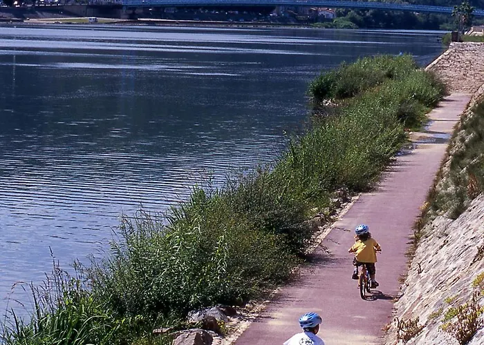 Les Bords Du Rhone